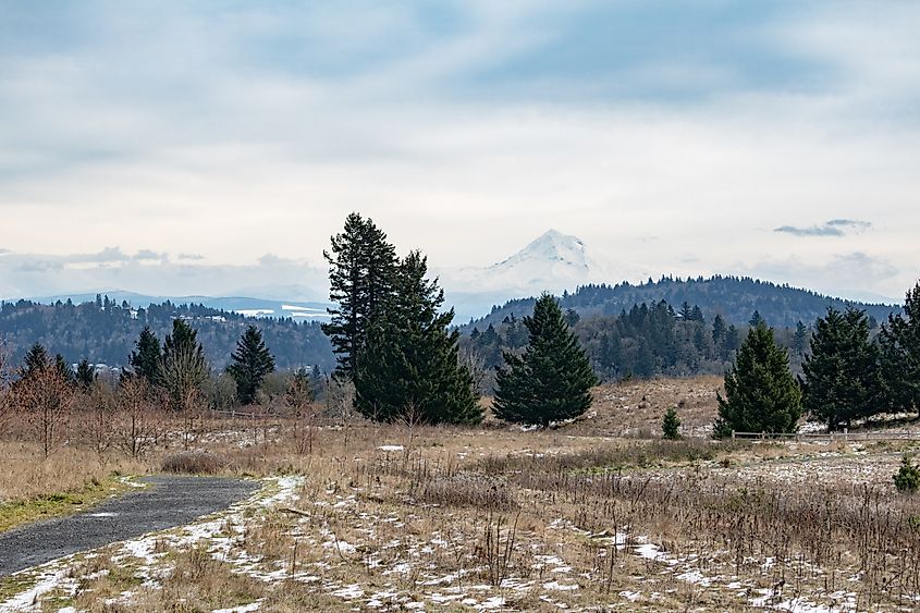 Mount Hood view from Powell Butte Nature Park, Portland, Oregon