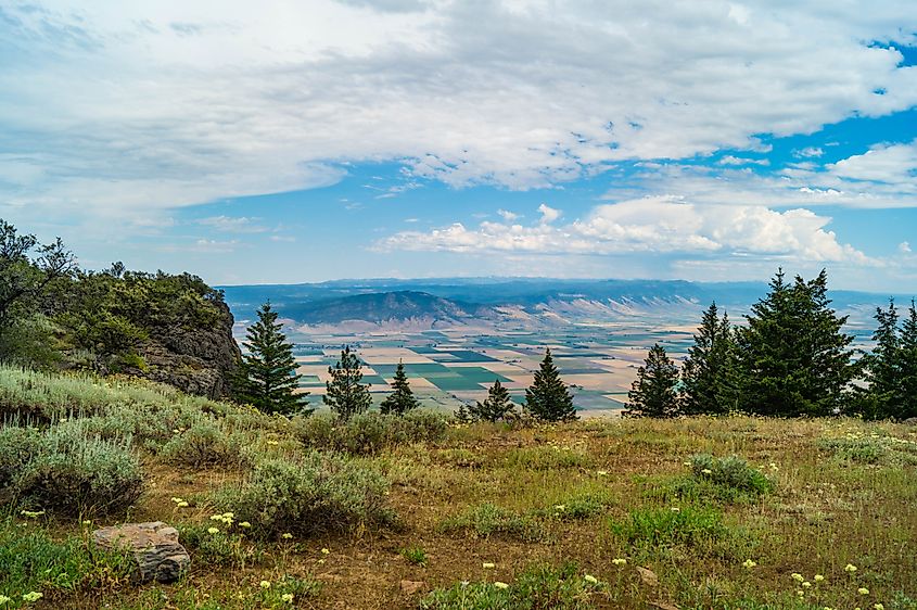 Wallowa-Whitman National Forest near La Grande, Oregon.