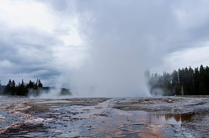 The Daisy Geyser erupting.