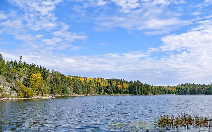 Fall foliage borders Falcon Lake, Manitoba