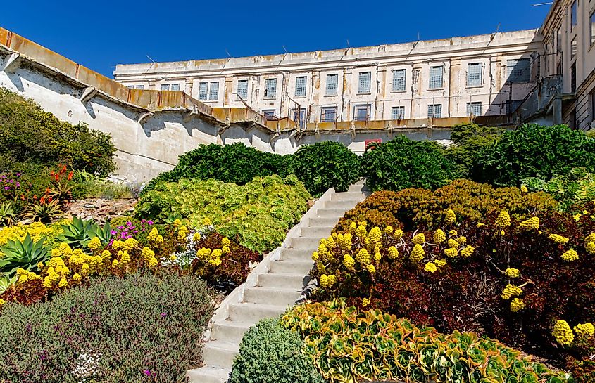 Alcatraz Island