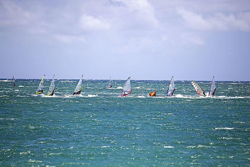 Wind surfers off Kanaha Beach Park, Maui, Hawaii