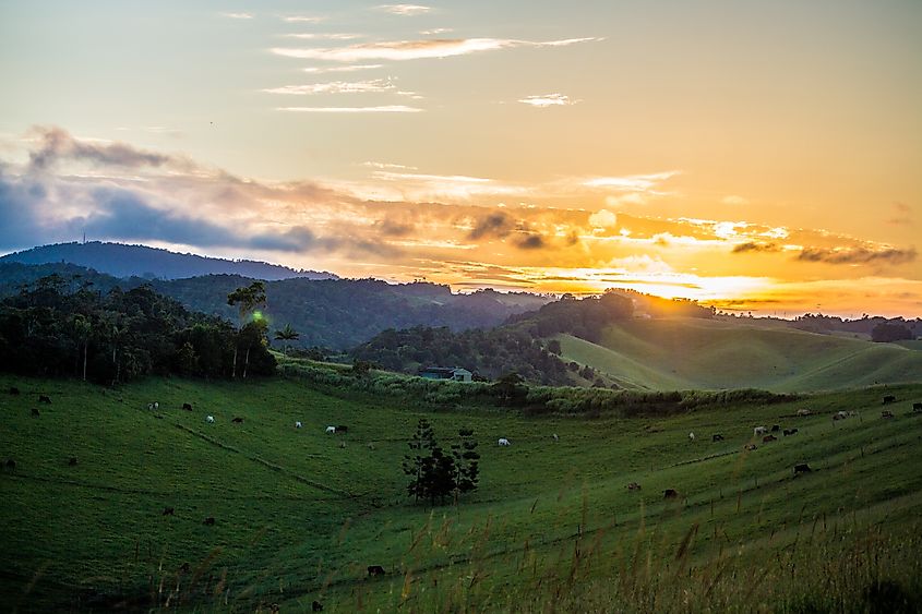 Atherton Tablelands