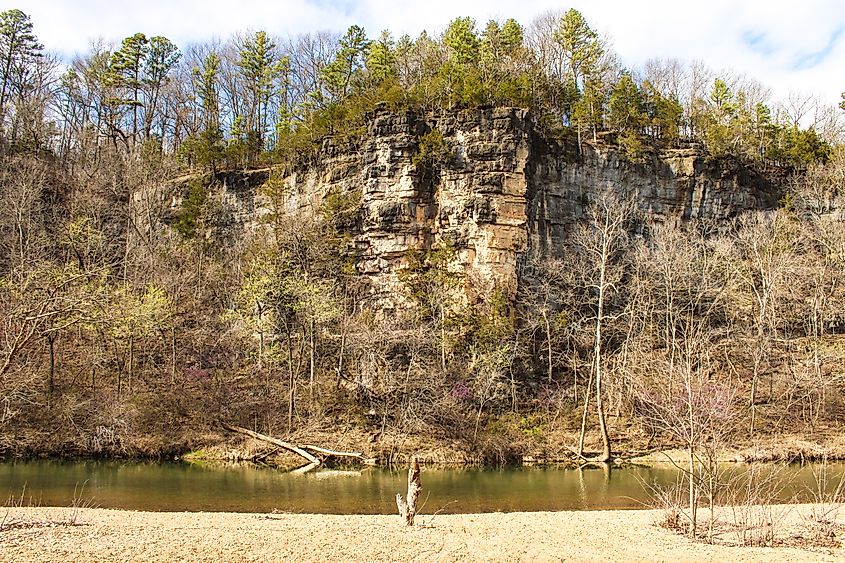 Raw nature near Mountain View, Missouri.