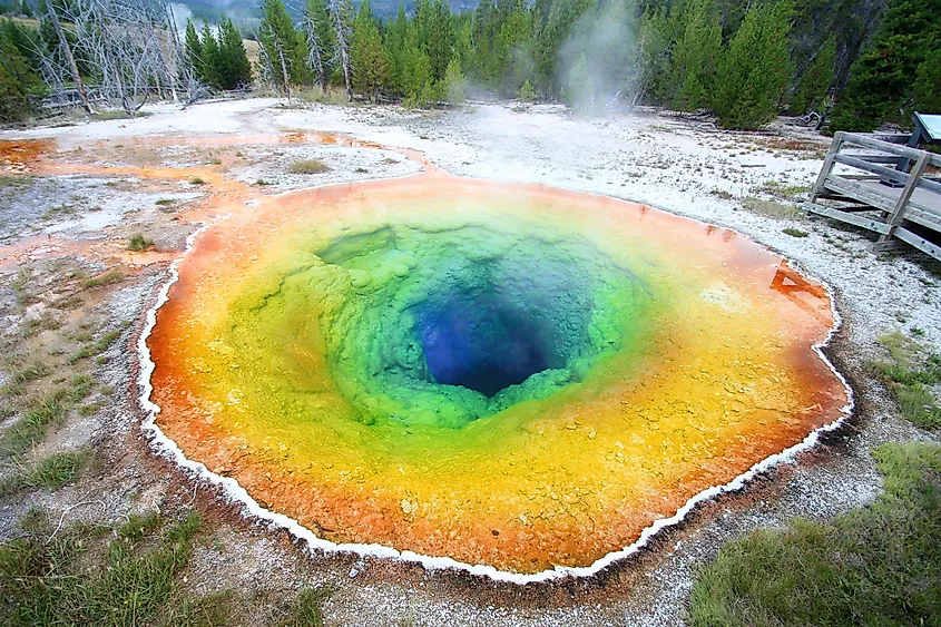 The colorful pool of the Morning Glory Geyser in Yellowstone National Park.