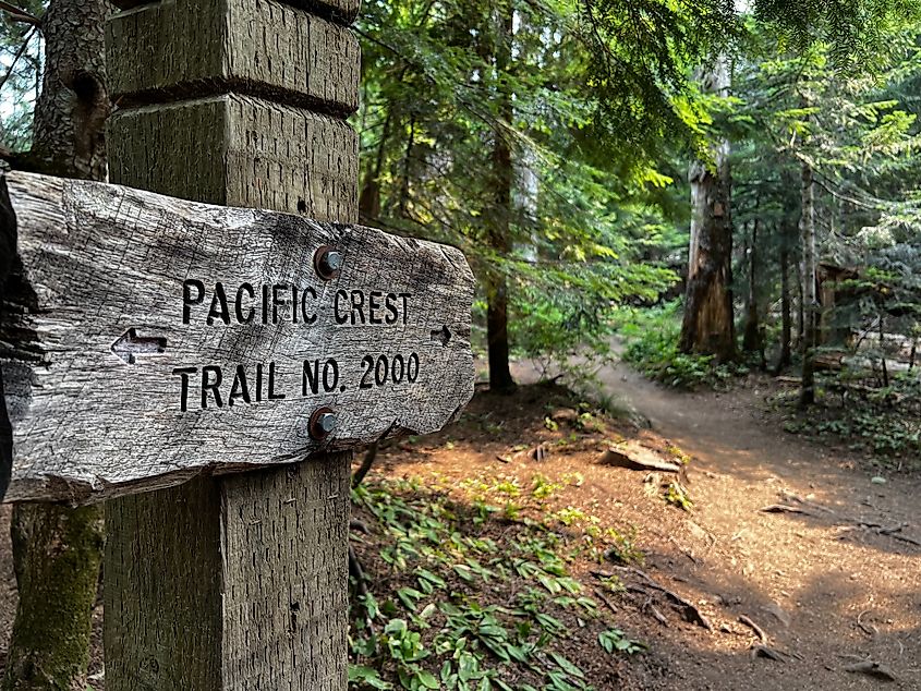 Sign marker on the Pacific Crest trail on Mount Hood in Oregon. Great Western Loop links together five long-distance hiking trails: the Pacific Crest Trail, the Pacific Northwest Trail, the Continental Divide Trail, the Grand Enchantment Trail, and the Arizona Trail.