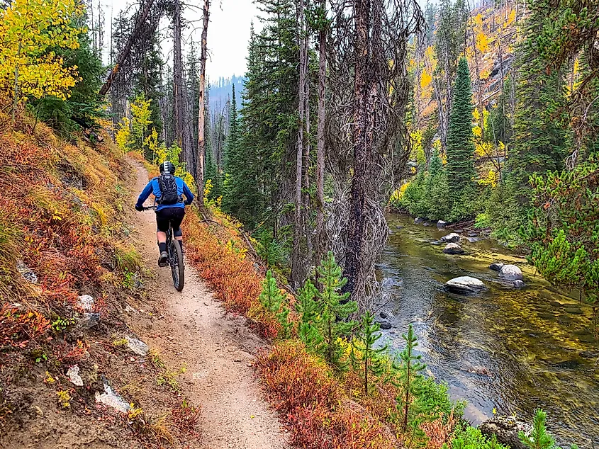 Mountain biker on the trail to Loon Lake in McCall, Idaho.