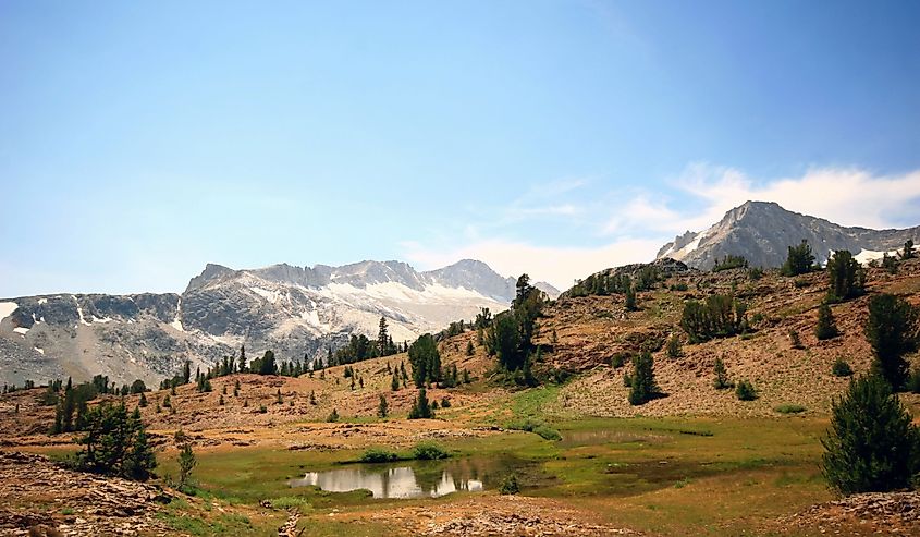 Sunny view of the Lee Vining Creek at California.