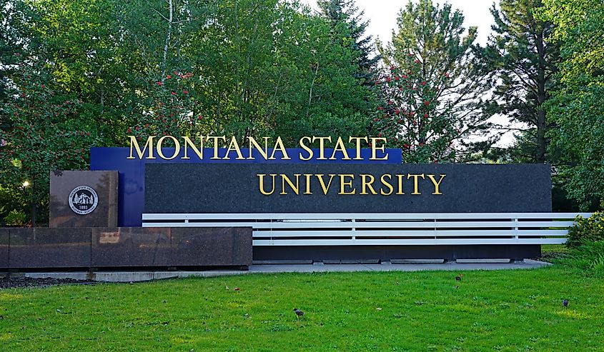View of the campus of Montana State University in Bozeman, home of the Bobcats. MSU is a public research and teaching university.