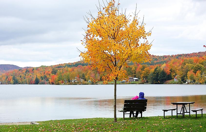 Autumn scene at Lake Elmore.