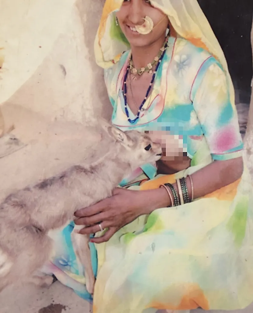 Bishnoi woman breastfeeding deer fawn