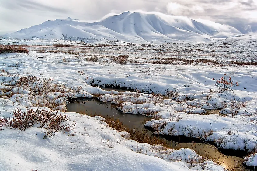 Pools of tundra water just beginning to freeze for the winter in the Alaskan Arctic in a valley in the Brooks Range