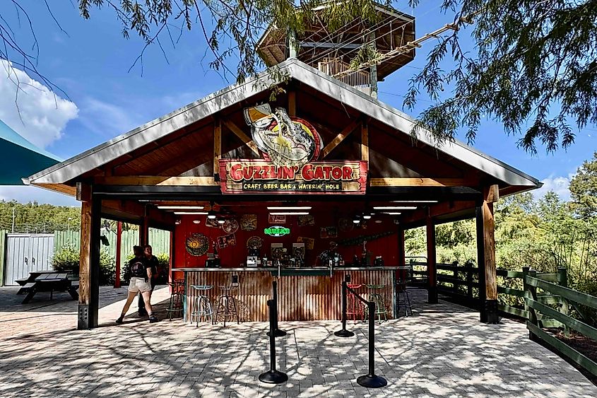 Guzzlin' Gator Beverage Barn Image credit Bryan Dearsley