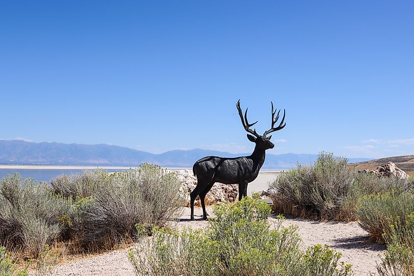 Statue at Antelope Island State Park near Syracuse, Utah, and the Great Salt Lake.