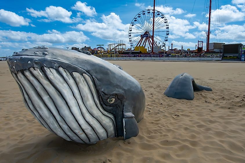 A whale figure in the sand and the Pepsi Ferris Wheel on the Ocean City pier.