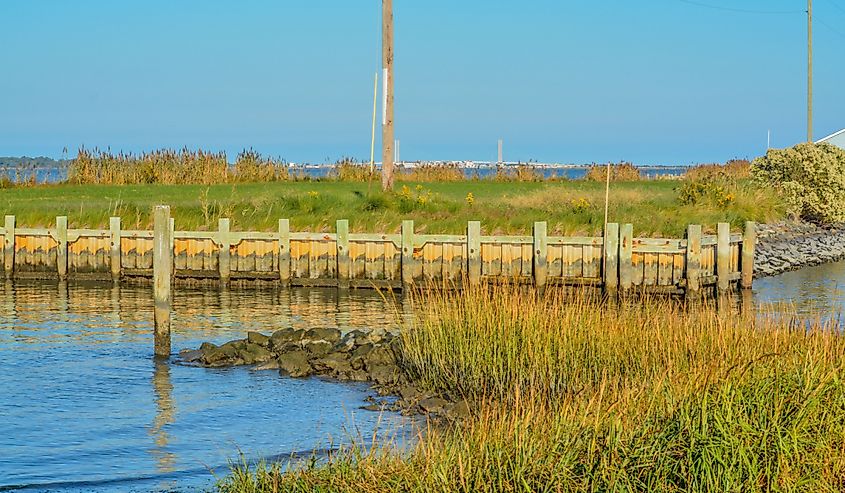 View from Holts Landing State Park of Calhoun Landing