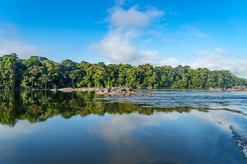 The Essequibo is a river flowing through Guyana in South America