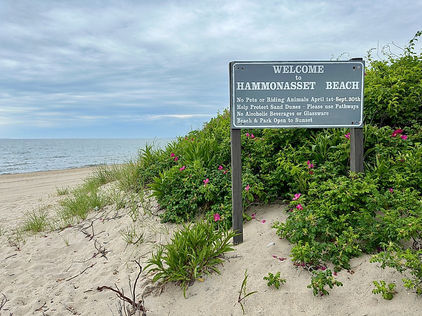 Signboard for the Hammonasset Beach State Park in Madison, Connecticut