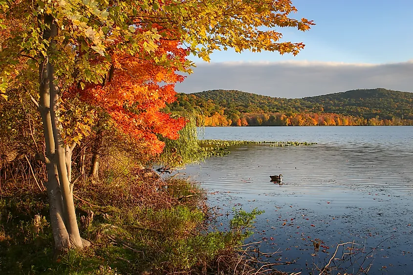 Fall foliage in Rockland Lake State Park.
