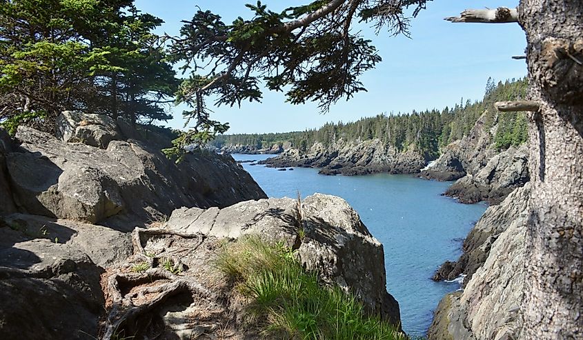 Inlets and forested cliffs along the Bold Coast in Maine.