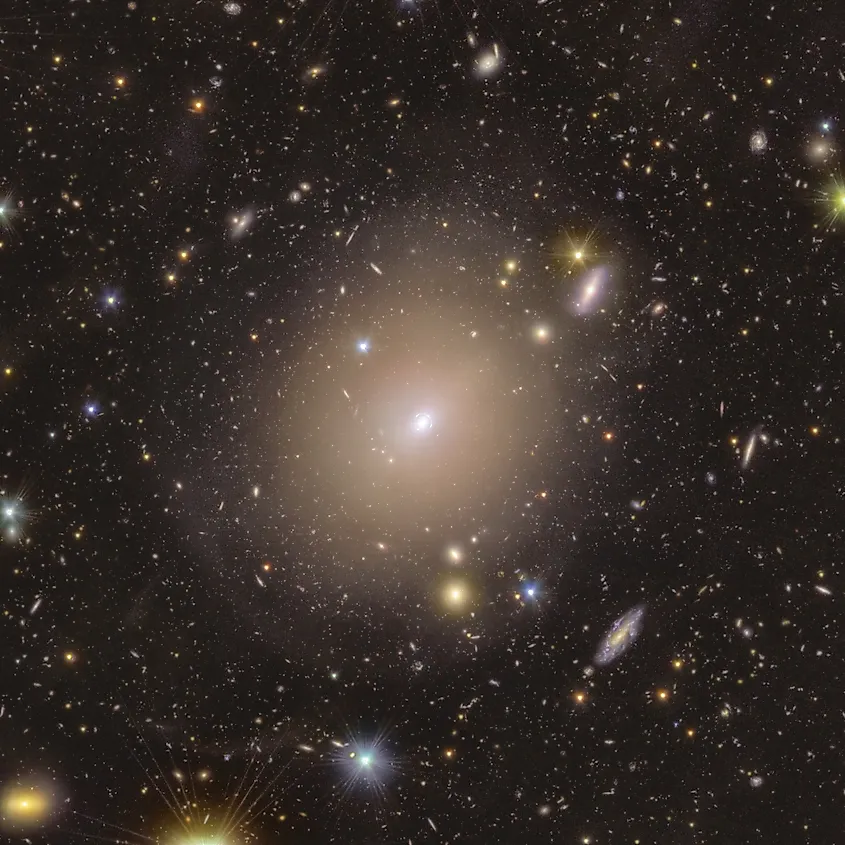 Euclid captured this Einstein ring around galaxy NGC 6505, where gravity bends and magnifies light from a distant background galaxy.