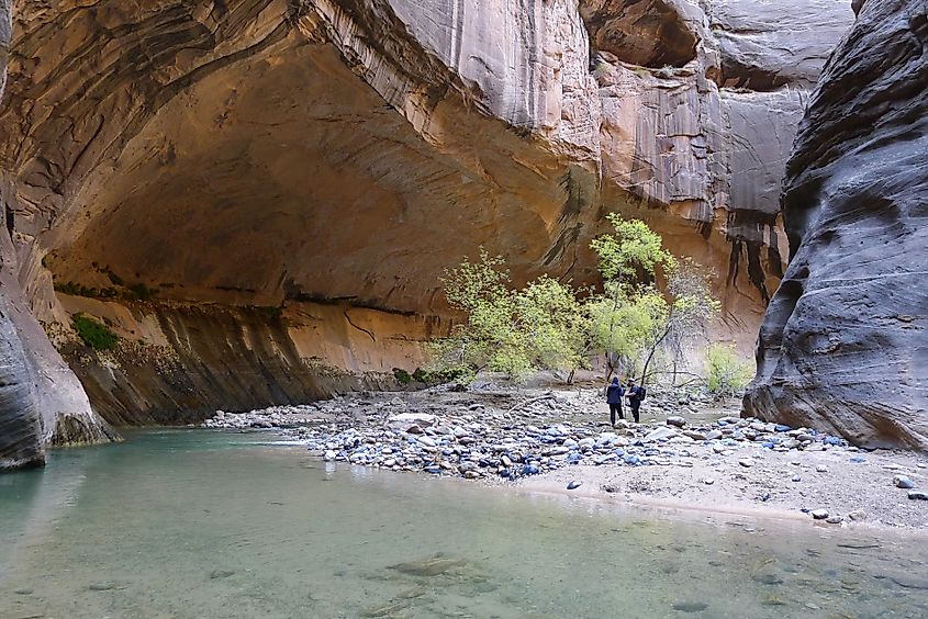 Hiking the Narrows in Zion National Park.