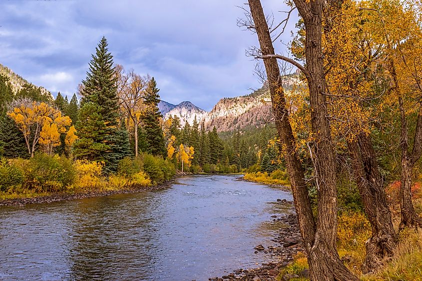 Rio Grande River near Creede, Colorado