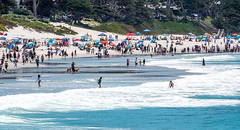 people enjoy the Pacific Coast of California at the dog friendly Carmel Beach, at Carmel by the Sea