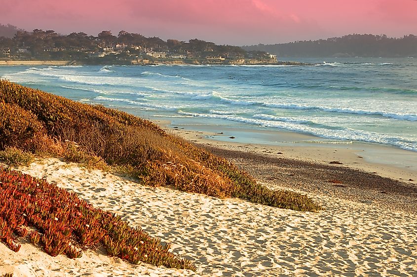 The coast at Carmel-by-the-Sea, California.