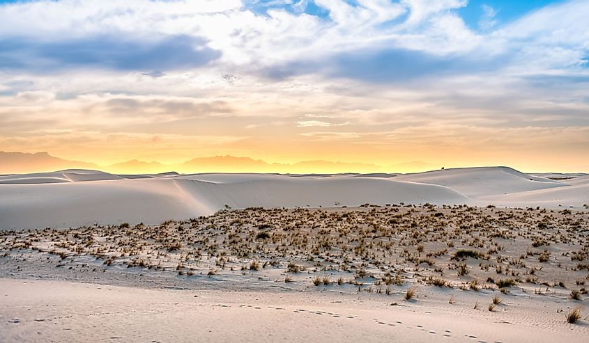 White sands national monument hills of gypsum sand dunes and shrubs plants in New Mexico with Organ mountains on horizon during colorful yellow sunset