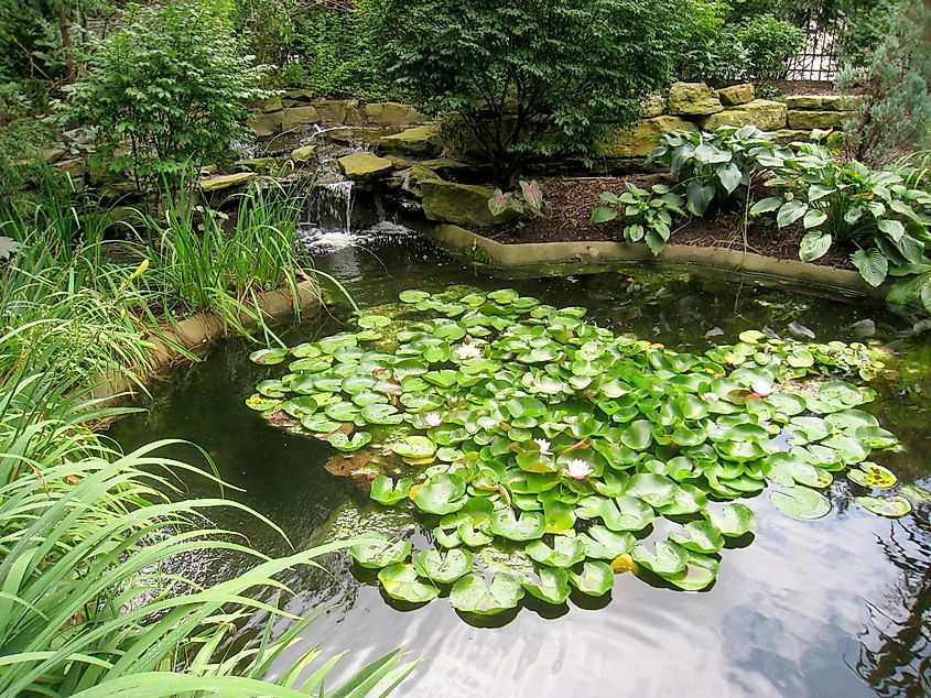 Rodef Shalom Biblical Botanical Garden, Pittsburgh, Pennsylvania