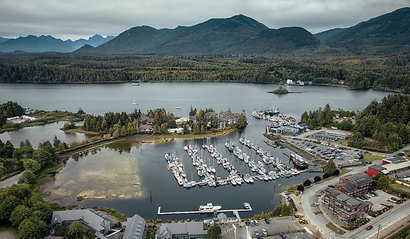 Overlooking Ucluelet Harbour, Pacific Coast, Vancouver Island, Canada.
