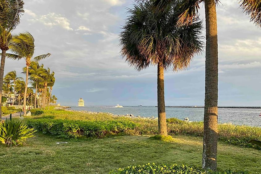  Palm Beach Shores and cruise ship Image credit Bryan Dearsley