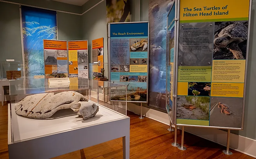 An educational museum display at the Coastal Discovery Museum.