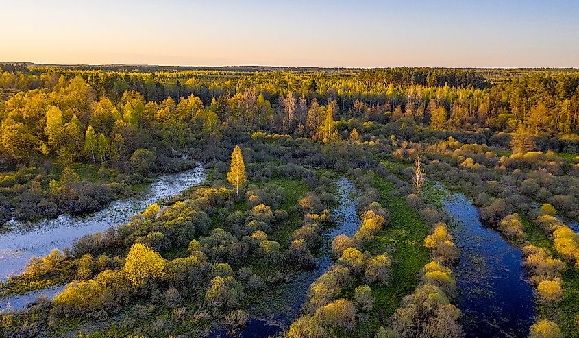 Picturesque floods on the Berezina river! Spring river and floodplain of the flooded river.