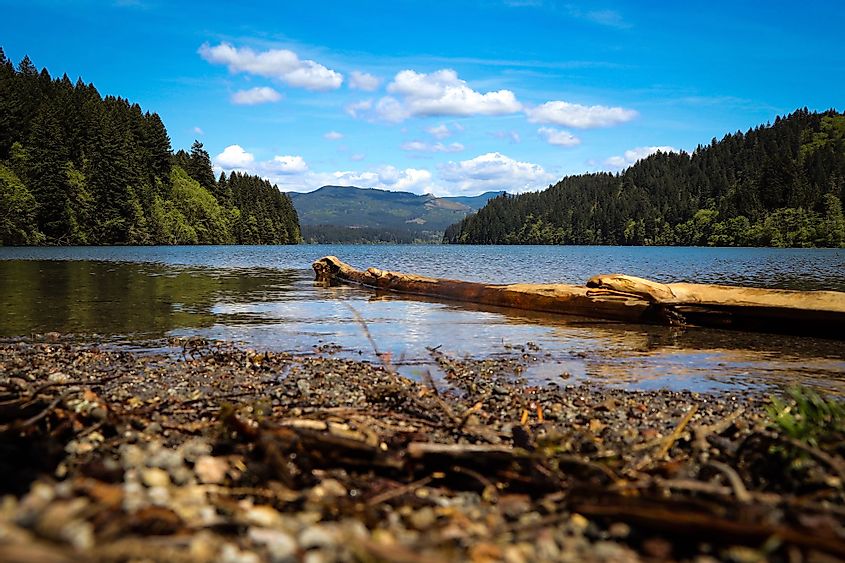 Lake Merwin view in southwest Washington