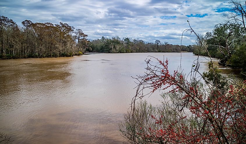 Beautiful Evangeline Pond in St. Martinville, Louisiana