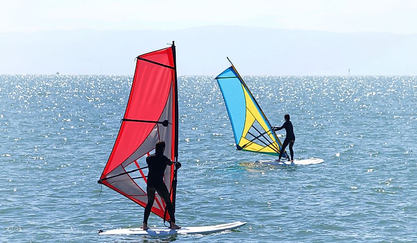 People learning to windsurf on the San Francisco Bay in Almeda. 