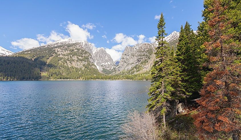 Phelps Lake, landscapes, mountains, forests and wild nature of Grand Teton National Park, Wyoming