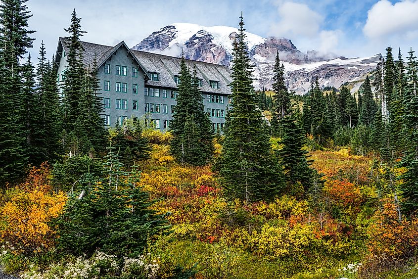 Paradise Inn, Fall colors, Mount Rainier.