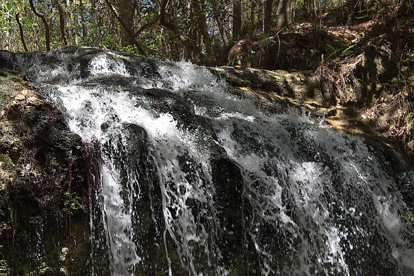 Falling Waters State Park in Florida