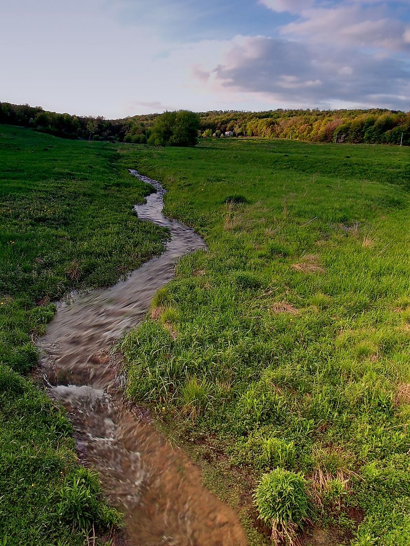 The headwaters of the Allegheny River are in this meadow in Potter County