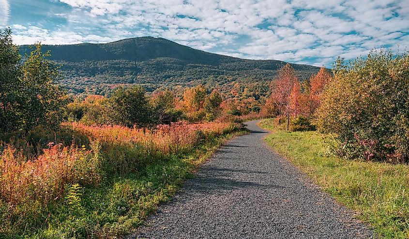 A path leading towards Mount Greylock in early fall