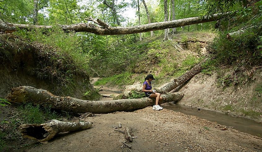 A woman enjoys a summer day at Clark Creek Natural Area.