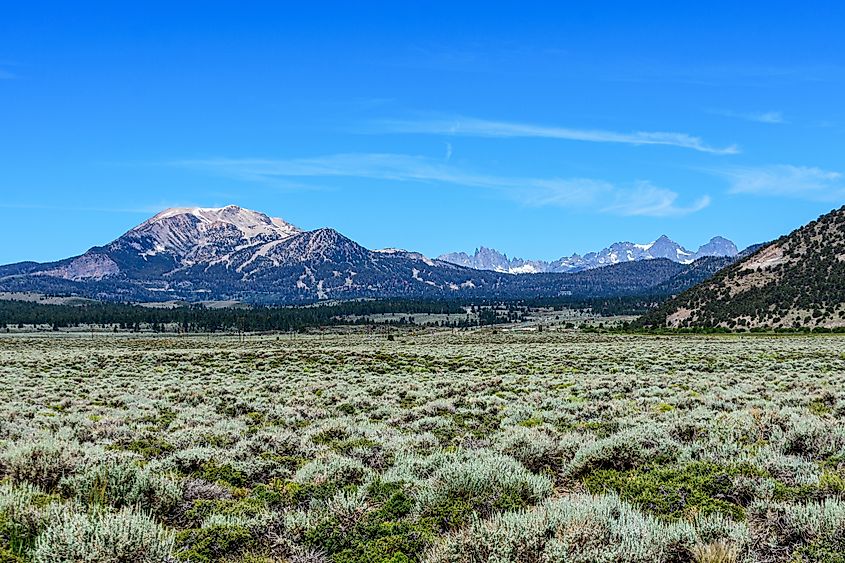 Mammoth Mountain in the Long Valley Caldera.