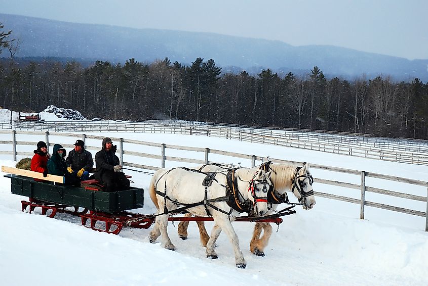 A horse-drawn sleigh tours the countryside in Stockbridge, Massachusetts.