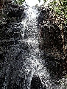 Reef Bay Falls, Virgin Islands National Park. Image credit: NPS / John Stanton.