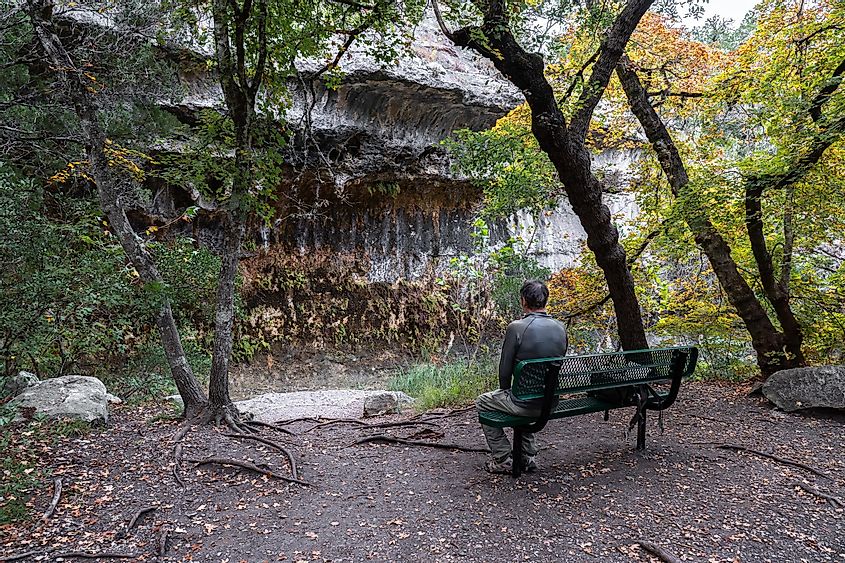 The Grotto, Lost Maples State Natural Area, Texas