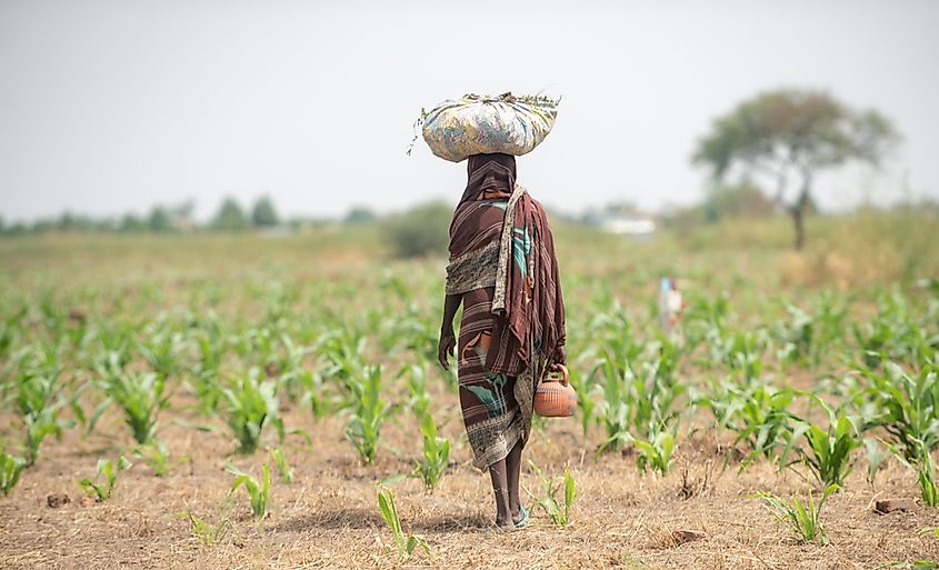 Farmer African girl walking in farm field in Chad N'Djamena travel, located in Sahel desert and Sahara.