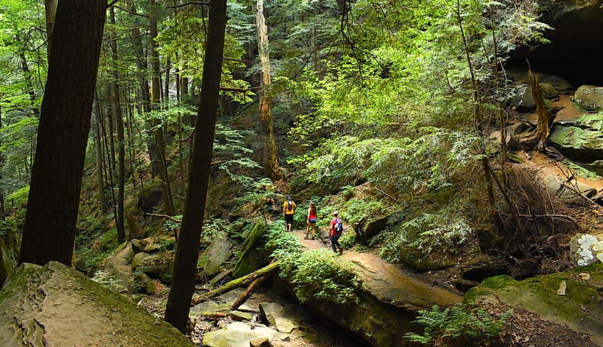 A group of hikers hiking at the Hocking Hills State Park.